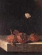 COORTE, Adriaen Three Medlars with a Butterfly zsdgf oil painting artist